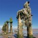 Groynes of Spurn Head 260409